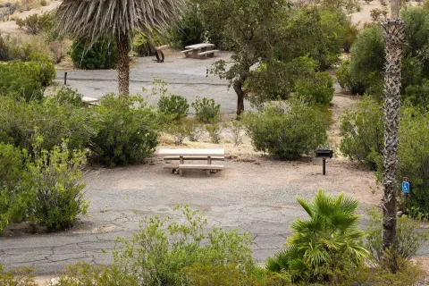 A campsite at Echo Bay Campground, Lake Mead, Nevada